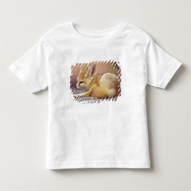 Camiseta Infantil África norte. Fennec Fennecus zerda) (Frente)