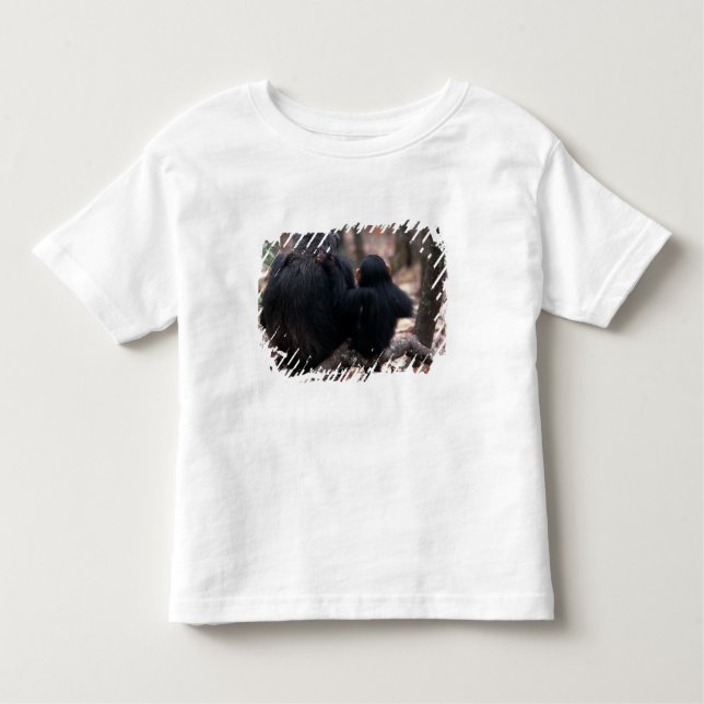 Camiseta Infantil África Oriental, Tanzânia (Frente)