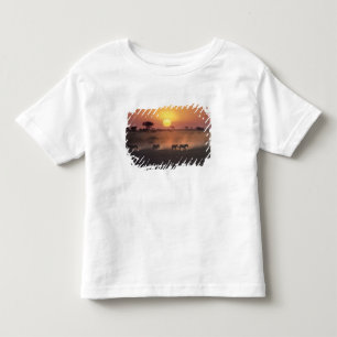 Camiseta Infantil África, Quênia, Amboseli NP. Zebras vão para o