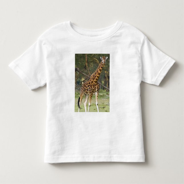 Camiseta Infantil África. Quênia. Girafa de Rothschild no lago 2 (Frente)