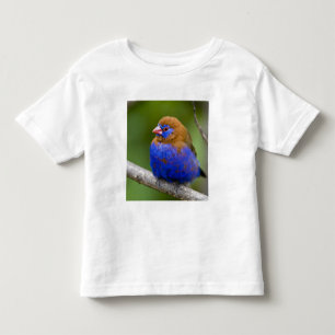 Camiseta Infantil África. Quênia. Grenadier Roxo
