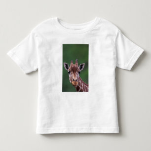 Camiseta Infantil África, Quênia, Impala Ranch. Reticulada