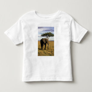 Camiseta Infantil África, Quênia, Maasai Mara. Um elefante no