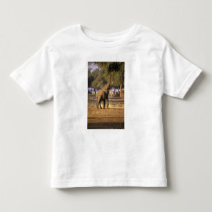 Camiseta Infantil África, Quênia, Masai Mara. Elefante (Loxodonta