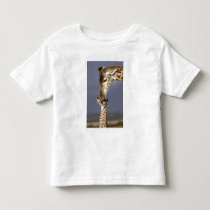 Camiseta Infantil África, Quênia, Masai Mara. Girafas (Giraffa