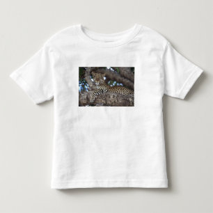 Camiseta Infantil África. Quênia. Masai Mara. Leopardo (Panthera)