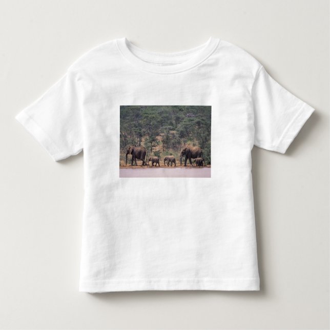 Camiseta Infantil África, Quénia, Nanyuki, Mpala. africano (Frente)