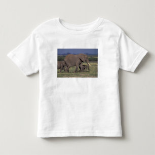 Camiseta Infantil África, Quênia, Parque Nacional de Amboseli. Afric