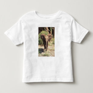 Camiseta Infantil África, Quênia, Parque Nacional de Amboseli. Afric
