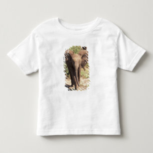 Camiseta Infantil África, Quênia, Parque Nacional de Amboseli. Afric