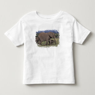 Camiseta Infantil África, Quênia, Parque Nacional de Amboseli. Afric