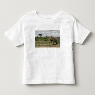Camiseta Infantil África, Quênia, Parque Nacional de Amboseli, elefa