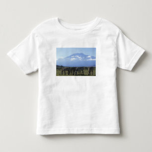 Camiseta Infantil África, Quênia, Parque Nacional de Amboseli, Manad