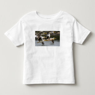 Camiseta Infantil África. Quênia. Pelicanos brancos em voo no Lago