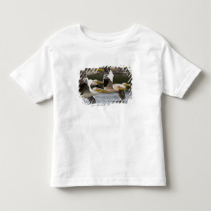 Camiseta Infantil África. Quênia. Pelicanos brancos em voo no Lago