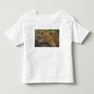 Camiseta Infantil África, Quênia. Retrato de um leão.