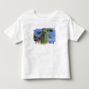 Camiseta Infantil África, Seicheles, Ilha La Digue. Granito 2