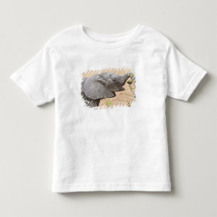 Camiseta Infantil África. Tanzânia. Elefante jovem em Tarangire