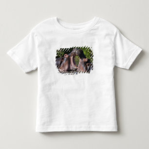 Camiseta Infantil África. Tanzânia. Hipopótamo esgrimindo