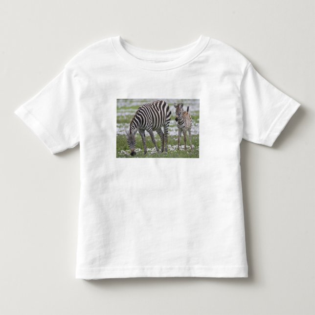 Camiseta Infantil África. Tanzânia. Mãe e cria de zebra (Frente)