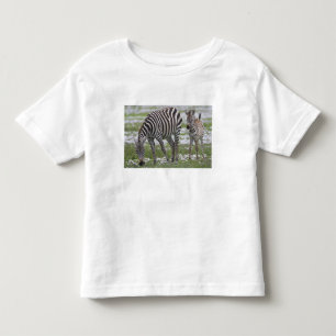 Camiseta Infantil África. Tanzânia. Mãe e potro da zebra em