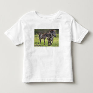 Camiseta Infantil África. Tanzânia. Mãe Zebra comum e bebê