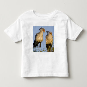 Camiseta Infantil África. Tanzânia. Secretaria de Aves em Ndutu