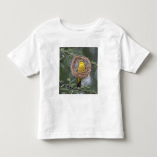 Camiseta Infantil África. Tanzânia. Tecelão-de-pescoço-preto fêmea
