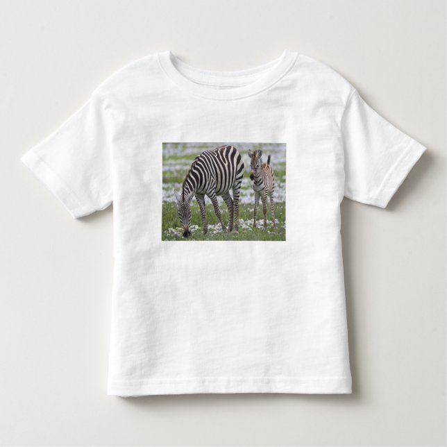 Camiseta Infantil África. Tanzânia. Zebra, mãe e colt (Frente)