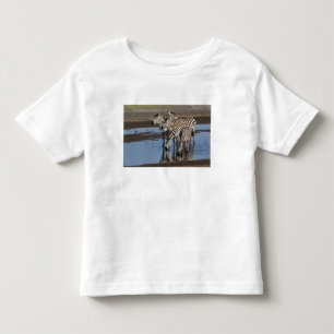 Camiseta Infantil África. Tanzânia. Zebras bebendo em Ndutu