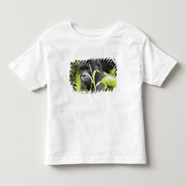 Camiseta Infantil África Uganda, Bwindi (Frente)