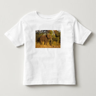 Camiseta Infantil África, Zimbábue, Parque Nacional Cataratas Vitóri