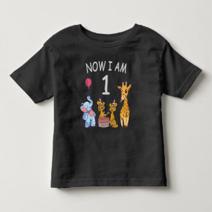 Camiseta Infantil Agora eu tenho 1 ano de idade 1º Aniversário no Zo