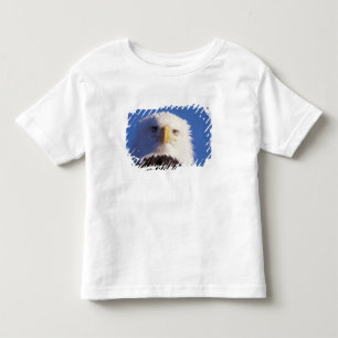 Camiseta Infantil águia americana, Haliaeetus leucocephalus, foto da