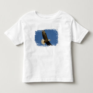 Camiseta Infantil Águia Americana, Haliaeetus leucocephalus, Homer,