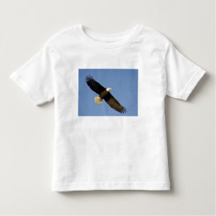 Camiseta Infantil Águia Balda, Haliaeetus leucocephalus, Homer, 4