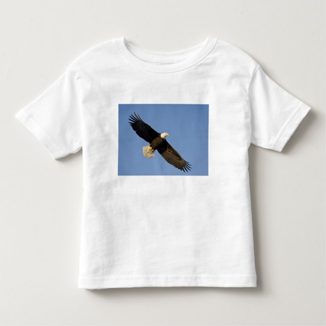 Camiseta Infantil Águia Balda, Haliaeetus leucocephalus, Homer, 4 (Frente)