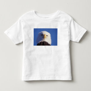 Camiseta Infantil águia-careca, Haliaeetus leucocephalus, foto da ca