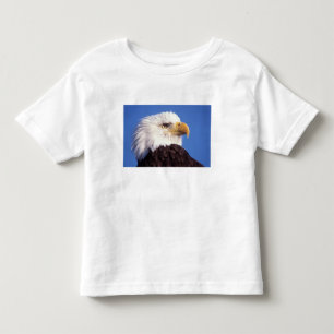 Camiseta Infantil águia-pescadora-americana, Haliaeetus leucocephalu
