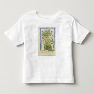 Camiseta Infantil Aipo do Lat de Nouv Acq, 'de Tacuinum Sanitatis