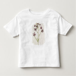 Camiseta Infantil Ajacis do Delphinium, c.1568