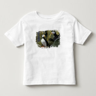 Camiseta Infantil Alasca, Ilha de São Paulo, as Ilhas Pribilof, bico