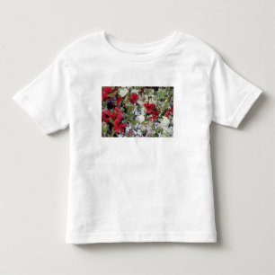 Camiseta Infantil Alasca, Parque Nacional Denali, a tundra ártica é