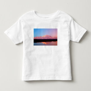 Camiseta Infantil Alasca, Parque Nacional Denali, Mt. McKinley em