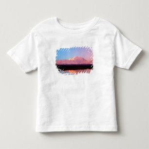 Camiseta Infantil Alasca, Parque Nacional Denali, Mt. McKinley em