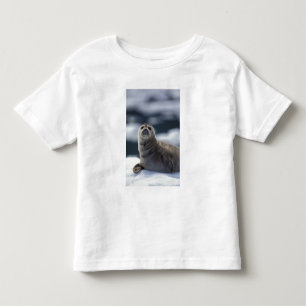 Camiseta Infantil Alasca, região sudeste Foca-comum no gelo