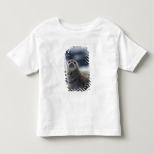 Camiseta Infantil Alasca, região sudeste Foca-do-porto no gelo
