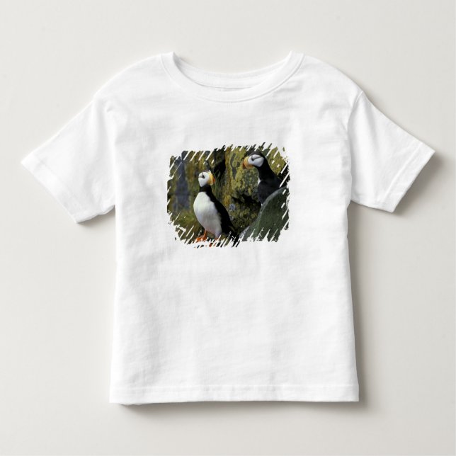 Camiseta Infantil Alasca, Rua. Ilha Paul, os Pribilofs, chifres (Frente)