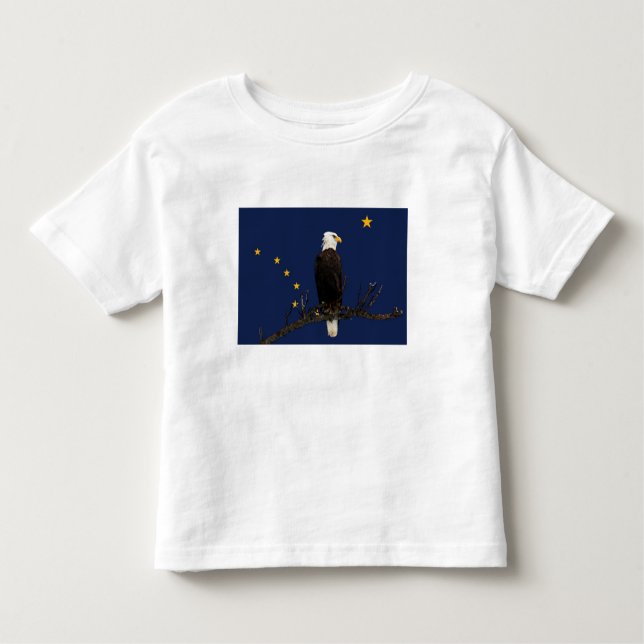Camiseta Infantil Alaska Eagle E Flag (Frente)