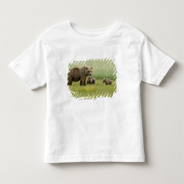 Camiseta Infantil Alaskan Brown Bear Sow e três Cubs, Ursus (Frente)